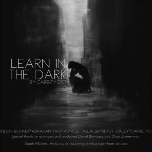 Learn in the Dark- (2 Copies)